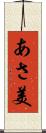 あさ美 Scroll