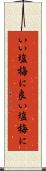 いい塩梅に Scroll