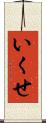いくせ Scroll