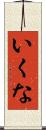 いくな Scroll