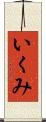 いくみ Scroll