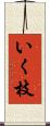 いく枝 Scroll