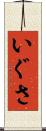 いぐさ Scroll