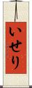 いせり Scroll