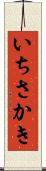 いちさかき Scroll