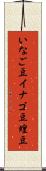 いなご豆 Scroll