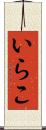いらこ Scroll