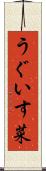 うぐいす菜 Scroll