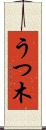 うつ木 Scroll