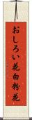 おしろい花 Scroll