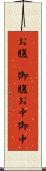 お腹(P) Scroll