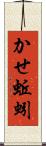 かせ蚯蚓 Scroll