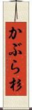 かぶら杉 Scroll
