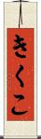 きくこ Scroll