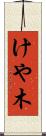けや木 Scroll
