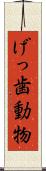 げっ歯動物 Scroll