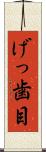 げっ歯目 Scroll