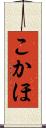 こかほ Scroll