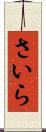 さいら Scroll