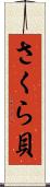 さくら貝 Scroll