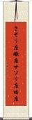 さそり座 Scroll