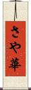 さや華 Scroll