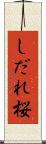 しだれ桜 Scroll