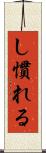 し慣れる Scroll