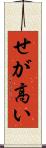 せが高い Scroll