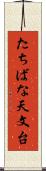 たちばな天文台 Scroll