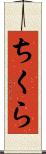 ちくら Scroll