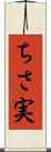 ちさ実 Scroll