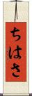 ちはさ Scroll