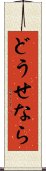 どうせなら Scroll