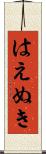 はえぬき Scroll