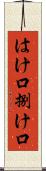 はけ口 Scroll