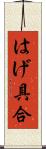 はげ具合 Scroll