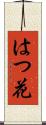 はつ花 Scroll