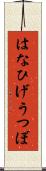 はなひげうつぼ Scroll