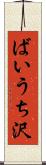 ばいうち沢 Scroll