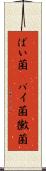 ばい菌(P) Scroll