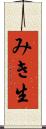 みき生 Scroll
