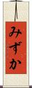 みずか Scroll