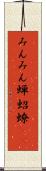 みんみん蝉 Scroll