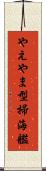 やえやま型掃海艦 Scroll