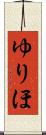 ゆりほ Scroll