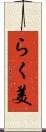 らく美 Scroll