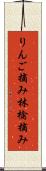 りんご摘み Scroll