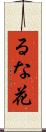 るな花 Scroll