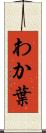 わか葉 Scroll